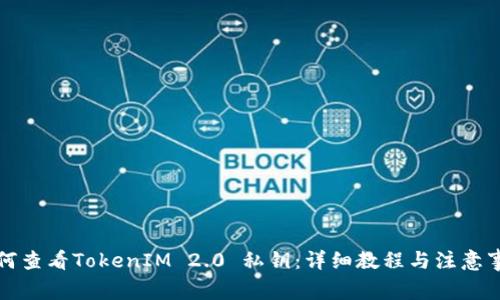 如何查看TokenIM 2.0 私钥：详细教程与注意事项
