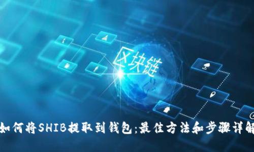如何将SHIB提取到钱包：最佳方法和步骤详解