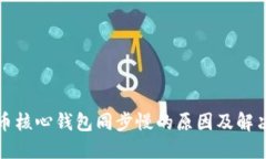 狗狗币核心钱包同步慢的