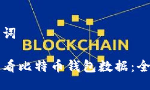 与关键词

如何查看比特币钱包数据：全面指南