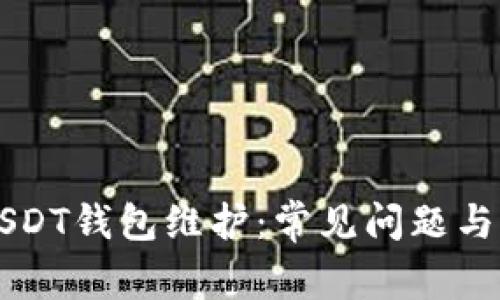 交易所USDT钱包维护：常见问题与解决方案