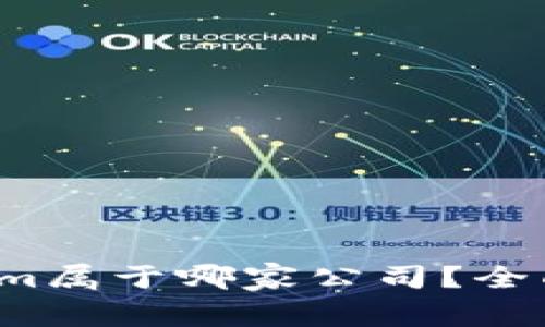 Tokenim属于哪家公司？全面解析！