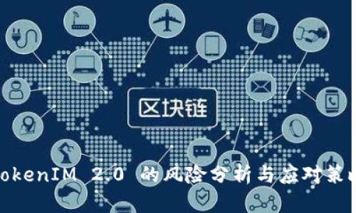 TokenIM 2.0 的风险分析与应对策略