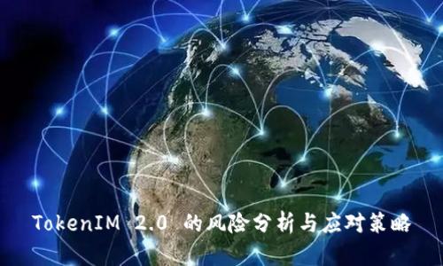 TokenIM 2.0 的风险分析与应对策略