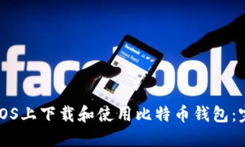 如何在iOS上下载和使用比特币钱包：完整指南