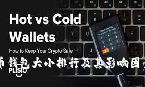 比特币钱包大小排行及其影响因素解析