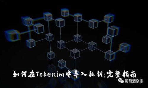 如何在Tokenim中导入私钥：完整指南