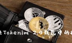 如何解决Tokenim 2.0钱包中的