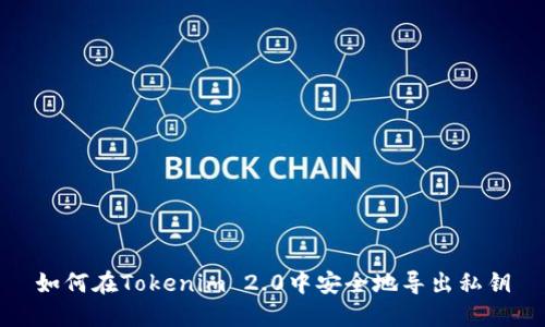 如何在Tokenim 2.0中安全地导出私钥