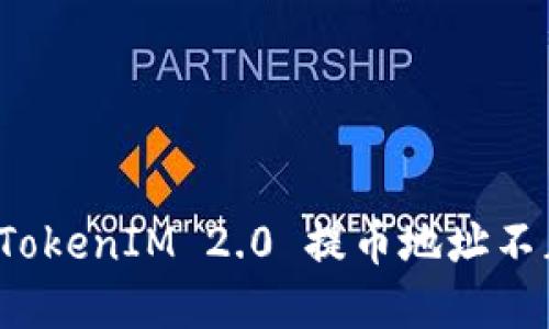 如何解决 TokenIM 2.0 提币地址不正确的问题