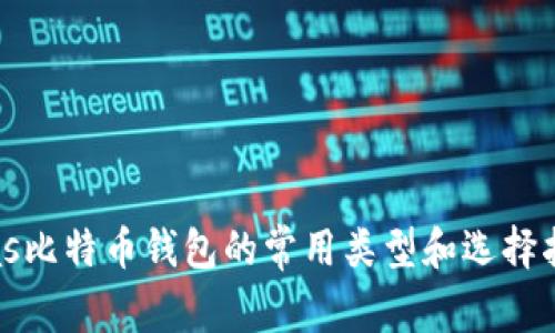 bias比特币钱包的常用类型和选择指南