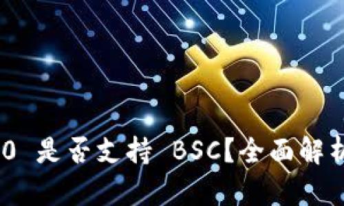 Tokenim 2.0 是否支持 BSC？全面解析与用户指南