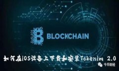 如何在iOS设备上下载和安