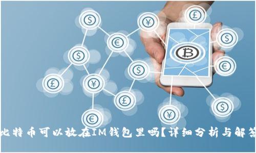 比特币可以放在IM钱包里吗？详细分析与解答