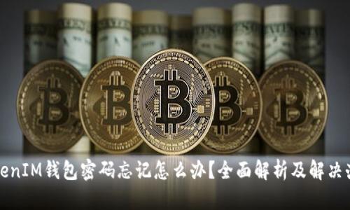 TokenIM钱包密码忘记怎么办？全面解析及解决办法