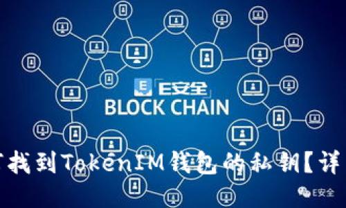 : 如何找到TokenIM钱包的私钥？详细指南