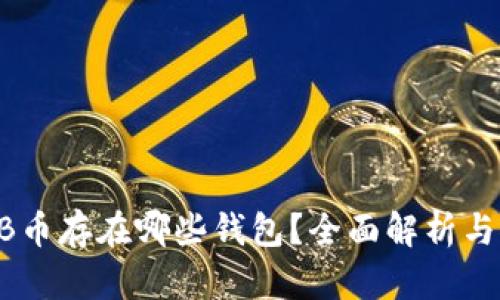SHIB币存在哪些钱包？全面解析与推荐