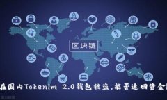 在国内Tokenim 2.0钱包被盗，