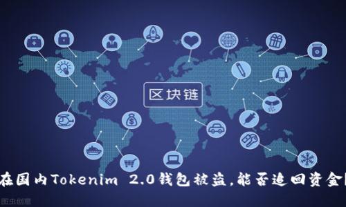 在国内Tokenim 2.0钱包被盗，能否追回资金？