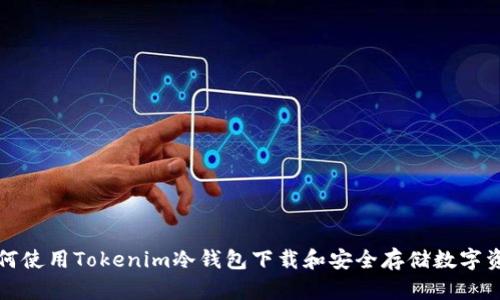 如何使用Tokenim冷钱包下载和安全存储数字资产
