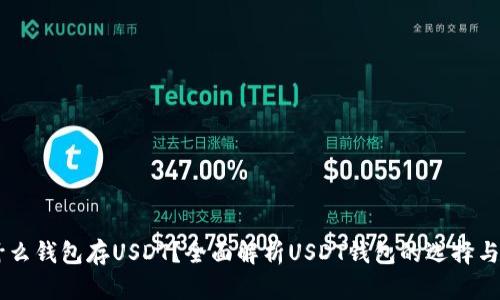用什么钱包存USDT？全面解析USDT钱包的选择与使用