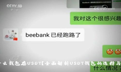 用什么钱包存USDT？全面解析USDT钱包的选择与使用