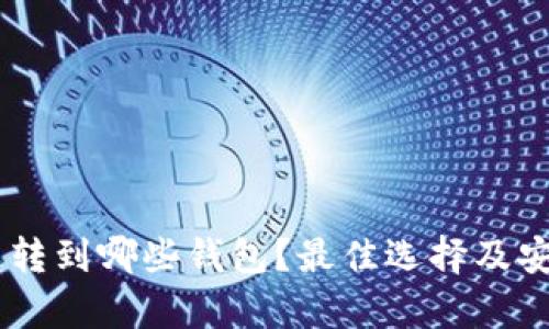 SHIB可以转到哪些钱包？最佳选择及安全性分析