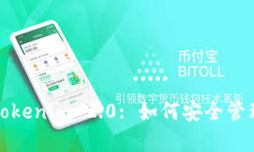 深入解析Tokenim 2.0: 如何安全管理两把私钥