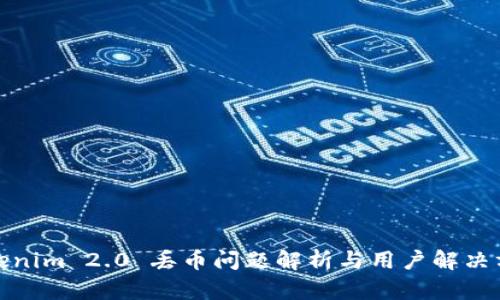 Tokenim 2.0 丢币问题解析与用户解决方案