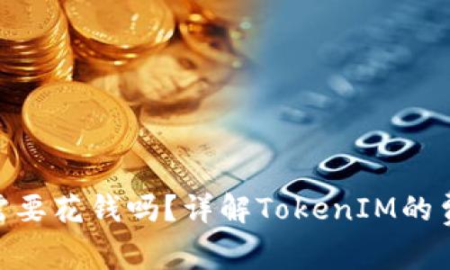 使用TokenIM需要花钱吗？详解TokenIM的费用与使用模式