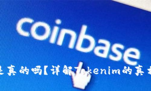 国内的Tokenim是真的吗？详解Tokenim的真相与使用注意事项