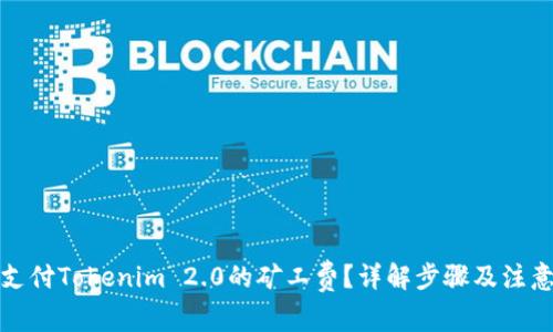 如何支付Tokenim 2.0的矿工费？详解步骤及注意事项