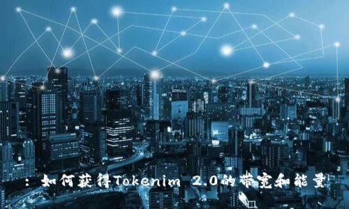 : 如何获得Tokenim 2.0的带宽和能量