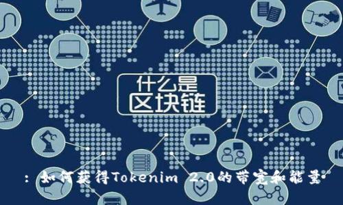 : 如何获得Tokenim 2.0的带宽和能量