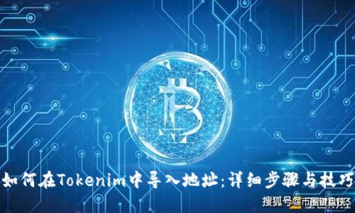 如何在Tokenim中导入地址：详细步骤与技巧
