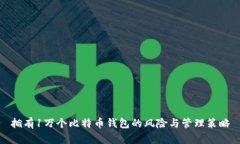 拥有1万个比特币钱包的风