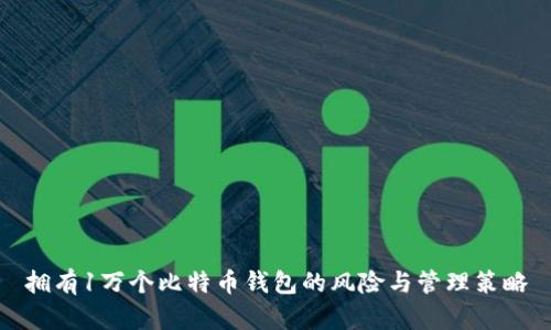 拥有1万个比特币钱包的风险与管理策略