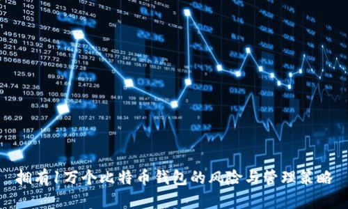 拥有1万个比特币钱包的风险与管理策略