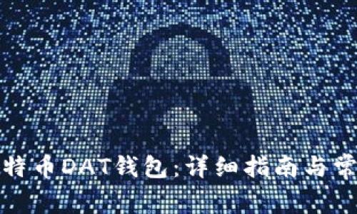 如何打开比特币DAT钱包：详细指南与常见问题解答