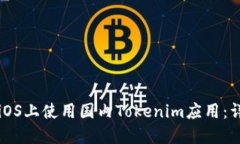 如何在iOS上使用国内Toke