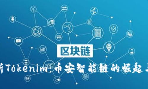 : 深入解析Tokenim：币安智能链的崛起与应用前景