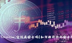 揭秘Tokenim：它到底安全吗