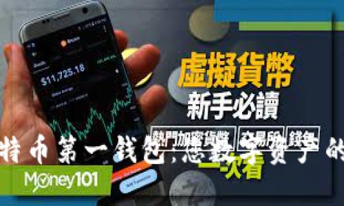 探索中国比特币第一钱包：您数字资产的安全护航者