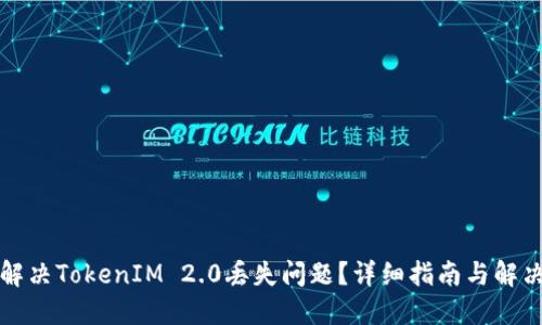 如何解决TokenIM 2.0丢失问题？详细指南与解决方案