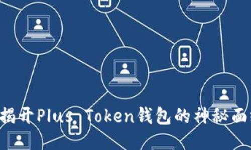   揭开Plus Token钱包的神秘面纱！