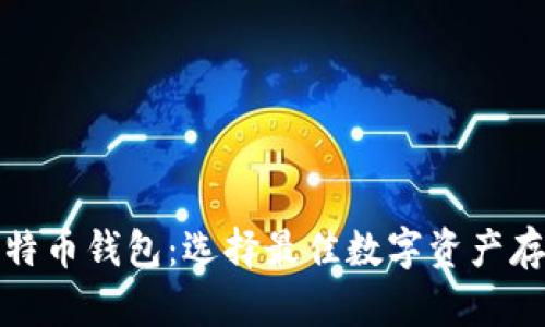 揭秘比特币钱包：选择最佳数字资产存储方案