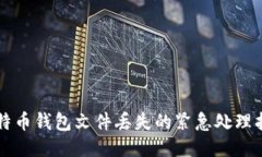 比特币钱包文件丢失的紧