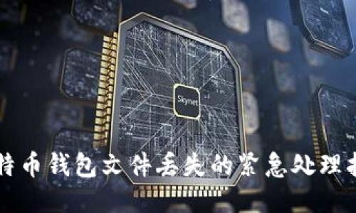 比特币钱包文件丢失的紧急处理指南