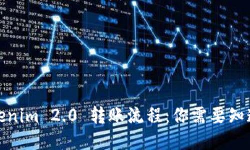 揭秘Tokenim 2.0 转账流程：你需要知道的一切