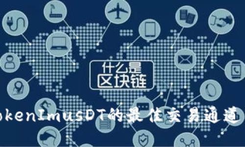 探索TokenImusDT的最佳交易通道与策略